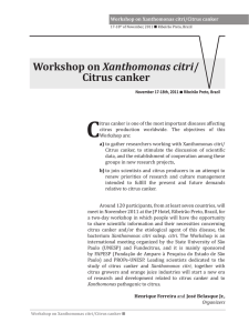 Workshop on Xanthomonas citri/ Citrus canker