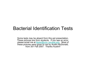 Bacterial Identification Tests