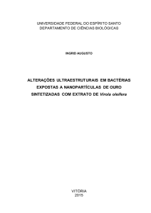 ALTERAÇÕES ULTRAESTRUTURAIS EM BACTÉRIAS EXPOSTAS