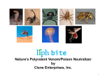 Nature`s Polyvalent Venom/Poison Neutralizer by Cisne