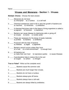 Viruses and Monerans Section 2