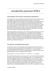 Lactobacillus paracasei