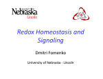 Redox Homeostasis and Signaling - University of Nebraska–Lincoln
