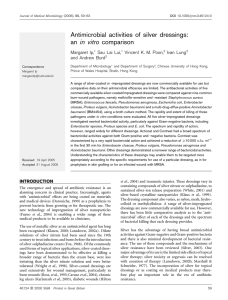 Antimicrobial activities of silver dressings: an in vitro comparison