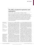 The ABCs of plasmid replication and segregation