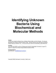 Identifying Unknown Bacteria Using Biochemical