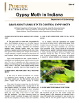Gypsy Moth - Purdue Extension Entomology
