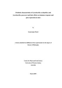 Probiotic characteristics of Lactobacillus acidophilus and