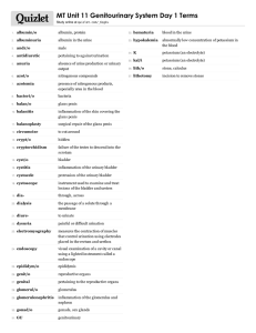 Print › MT Unit 11 Genitourinary System Day 1 Terms | Quizlet