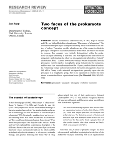 Two faces of the prokaryote concept