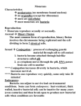 Monerans Characteristics: → prokaryotes (no membrane bound