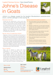 Johne`s Disease in Goats - Langford Veterinary Services