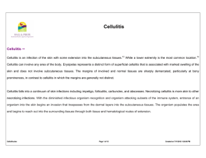 Cellulitis protocol