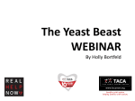 The Yeast Beast WEBINAR