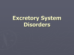 Excretory System Disorders