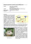 Biological augmentation of nitrifiers using the BABE