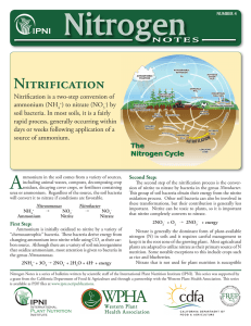 Nitrification - International Plant Nutrition Institute