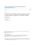 Variation in Culturable Gut Microorganisms of the Catalpa Sphinx