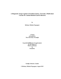 A Diagnostic Target Against Clostridium bolteae