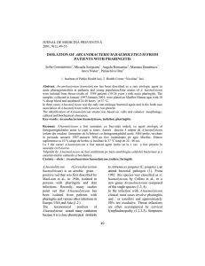 49 ISOLATION OF ARCANOBACTERIUM HAEMOLYTICUM FROM