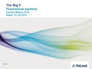 The Big 5 Food-borne bacteria