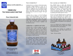 English brochure - Colloidal Silver by Mirax Supplements