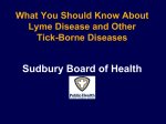 What You Should Know About Lyme Disease and Other Tick