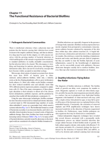 The Functional Resistance of Bacterial Bioﬁ lms Chapter 11 1 Pathogenic Bacterial Communities