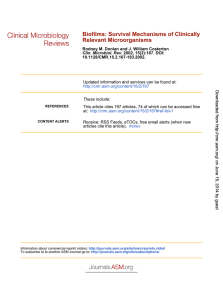 Biofilms: Survival Mechanisms of Clinically Relevant Microorganisms