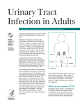 Urinary Tract Infection in Adults National Kidney and Urologic Diseases Information Clearinghouse
