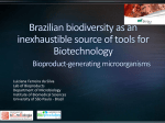 Luiziana Ferreira da Silva Lab of Bioproducts Department of Microbiology