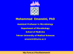 Mohammad Emaneini, PhD