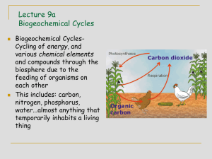 Lecture 9a Biogeochemical Cycles