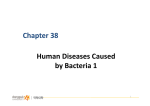 Chapter 38 Human Diseases Caused  by Bacteria 1 1