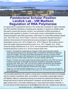 Postdoc Opening