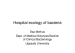 Hospital ecology of bacteria - mims