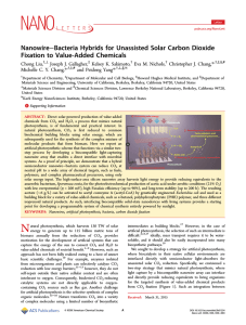 NanowireâBacteria Hybrids for Unassisted Solar Carbon Dioxide