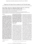 Triggering of the largest Deccan eruptions by the Chicxulub impact