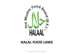 halal food laws - The Muslim Food Board