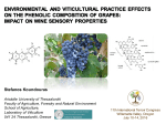 Environmental and Viticultural Practice Effects on the Phenolic