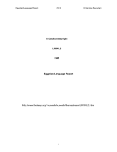 Egyptian Language Report