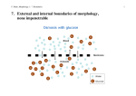 F. Plank, Morphology 1: 7. Boundaries 1