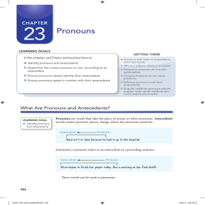 23 Pronouns Chapter Learning goaLs