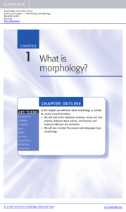 1 What is morphology? CHAPTER OUTLINE