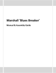 Marshall `Blues Breaker`