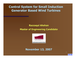 Control System for Small Induction Generator Based Wind Turbines