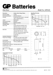 Data Sheet Model No.: GP23AE