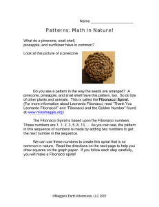 Patterns: Math In Nature! - Maggie`s Earth Adventures