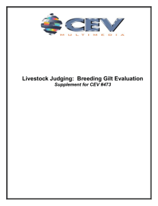 Title:Breeding Gilt Evaluation