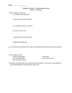 Chapter 5 Exercise – Cardiovascular system Medical Terminology 1